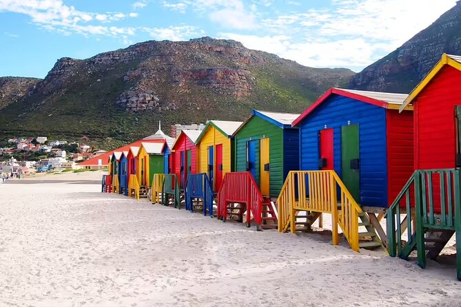 One Day Cape of Good and Penguin Colony Expedition From Cape Town - Tour Logistics