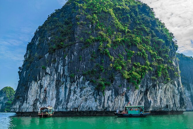 One Day Trekking Cat Ba National Park - Frequently Asked Questions