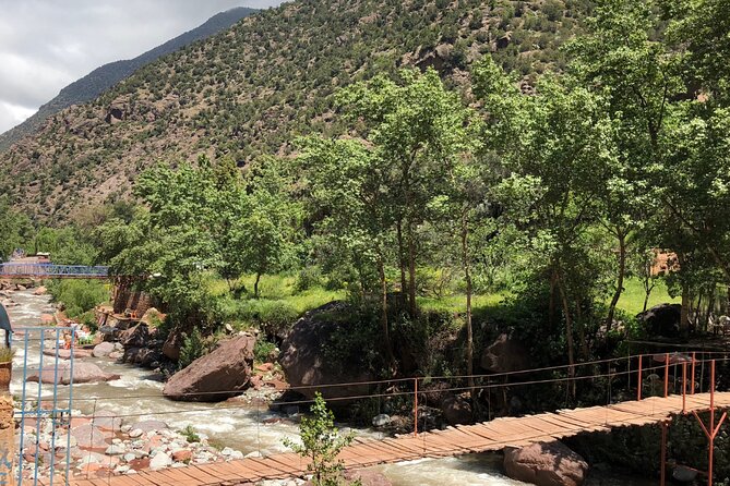 Ourika Valley Day Trip From Marrakech Private Day Tour - Group Size and Pricing