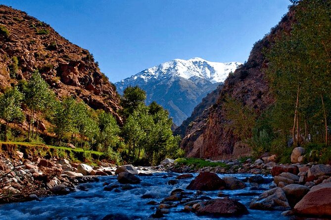 Ourika Valley Full-Day Trip From Marrakech - Price and Guarantees