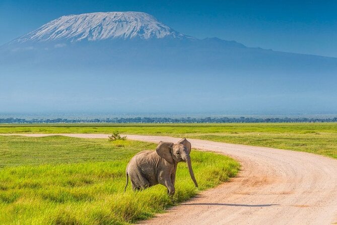 Overnight Safari to Amboseli National Park