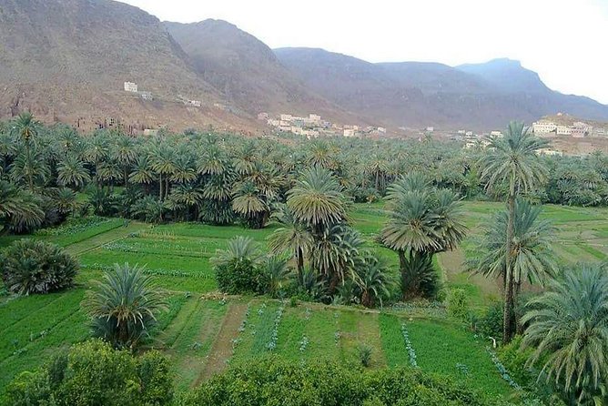 Overnight Sahara Desert Trip From Fez To Marrakech ( Small Group ) - Booking and Pricing