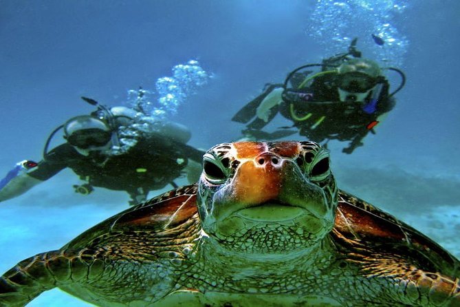 PADI Advanced Open Water Diving Course & Certificate - Hurghada - Dive Sites in Hurghada