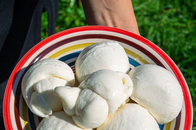 Paestum Temple Tour With Buffalo Mozzarella Class - Cancellation Policy