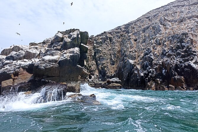 Palomino Islands Tour With Shuttle Service - Cancellation Policy and Reviews