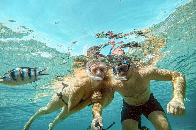Paradise Island Full Day Snorkeling Activity From Hurghada - Additional Information & Tips