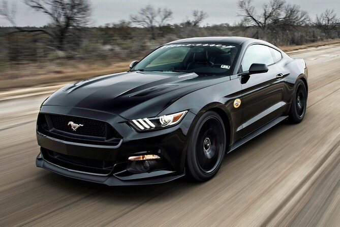 Paris to Deauville Private Transfer - What To Expect