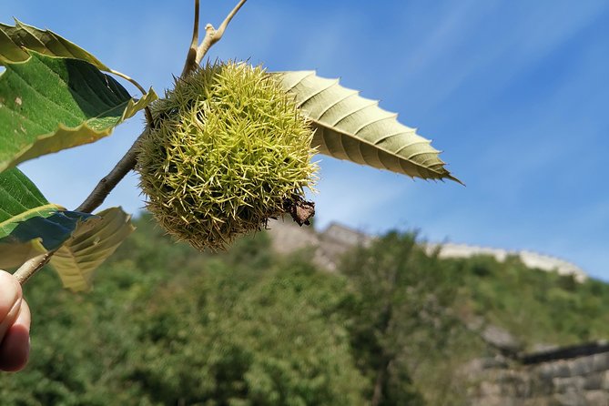 PEK Airport Layover Transfer Service to Lakeside View Huanghuacheng Great Wall - Frequently Asked Questions