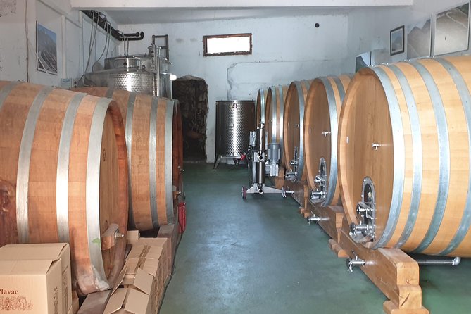 Peljesac Private Wine Tour From Dubrovnik - The Sum Up