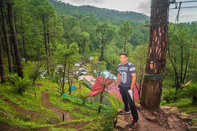 Pine Forest Camping Near Shimla - 1 Night - The Sum Up