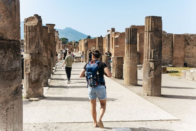 Pompeii and Mount Vesuvius Wine Tasting Private Tour From Amalfi - Entrance Fees