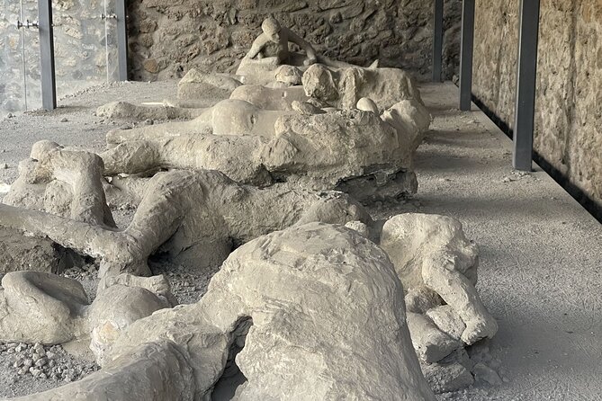 Pompeii and Vesuvius Tour With Lunch Wine Tasting From Sorrento - Tour Experience Highlights