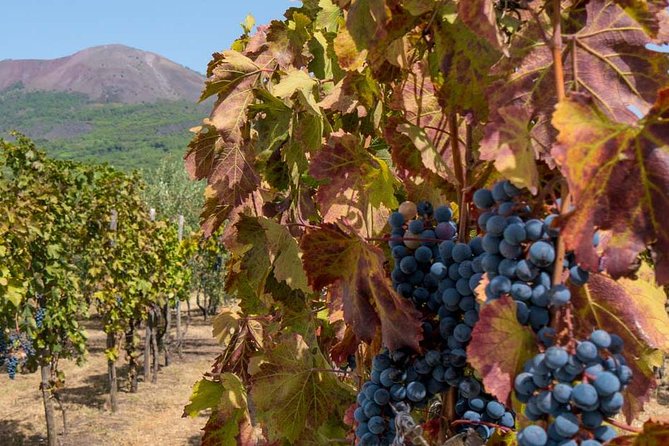 Pompeii Private Tour + Wine Tour and Tasting Menu Near Vesuvius - Directions