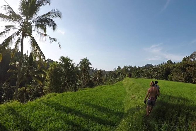 Premium Sunrises, Rice Fields, and Waterfalls Tour - Additional Information