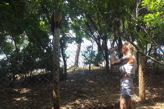 Prison Island, Nakupenda Beach and Stone Town Private Tour | Seafood Buffet - Important Information