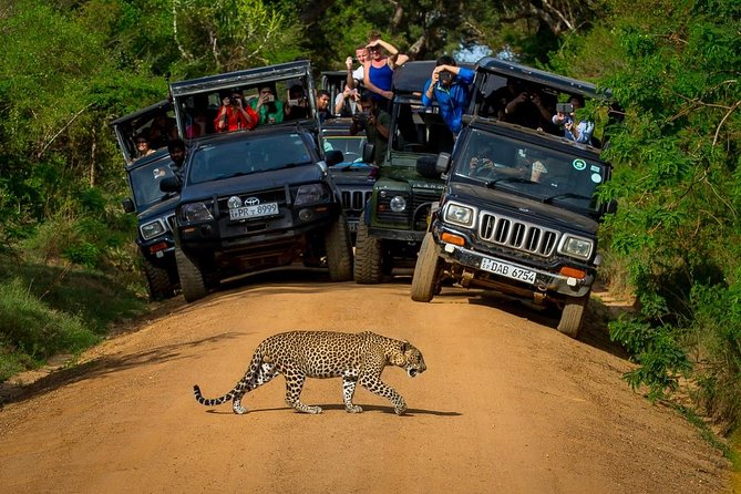 Private 02 Day Leopard Safari in Yala From Colombo - Meeting and Pickup Details