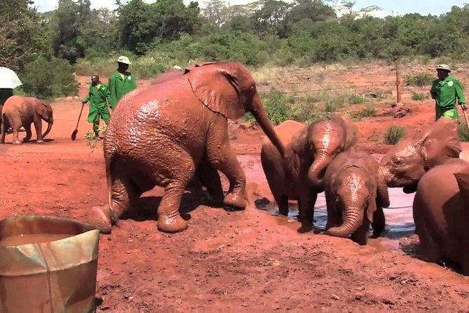 Private 10 Days Best of Kenya Wildlife Safari Holiday - Booking Information