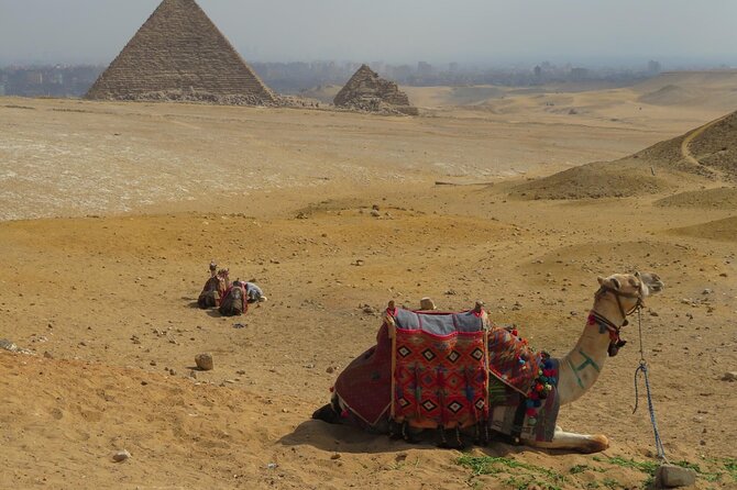 Private 2-Day Tour Cairo & Alexandria - Booking Confirmation