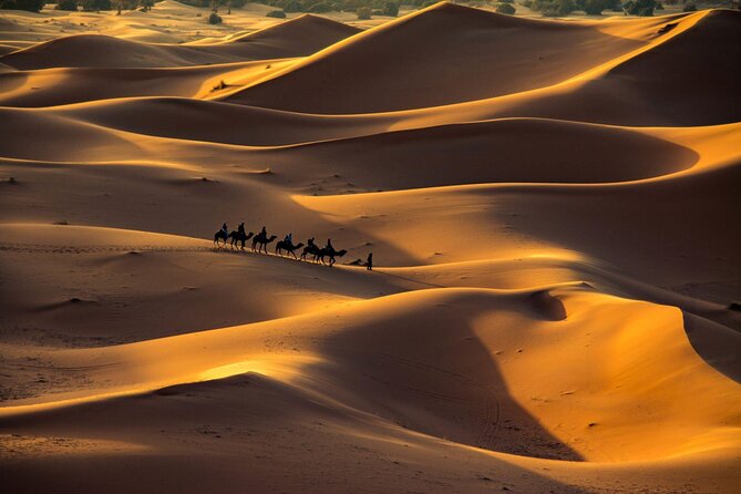Private 3 Days Desert Tour From Marrakech to Merzouga Desert - The Sum Up