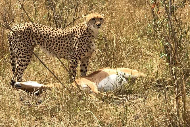 Private 6-Day Camping Tour: Amboseli, Lake Nakuru, and Masai Mara Safari - Pricing and Availability