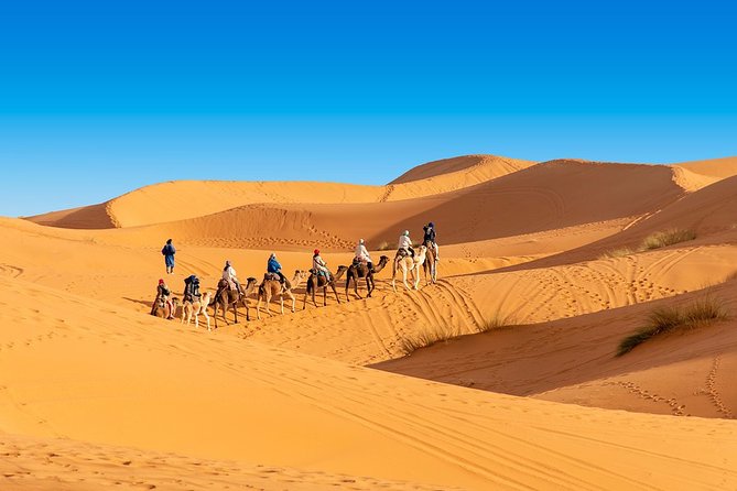 PRIVATE 7-Day Route: Marrakech to Marrakech via Merzouga Desert W/ 4* Hotels Inc - Pickup Information