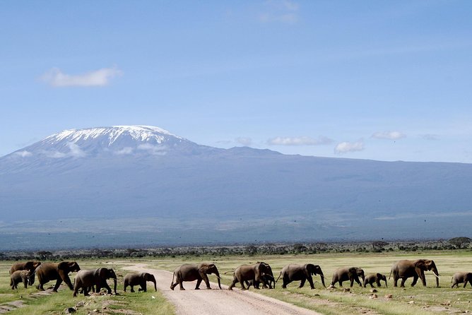 Private 9 Days Kenya Classic Lodge Safari - Availability and Reservations