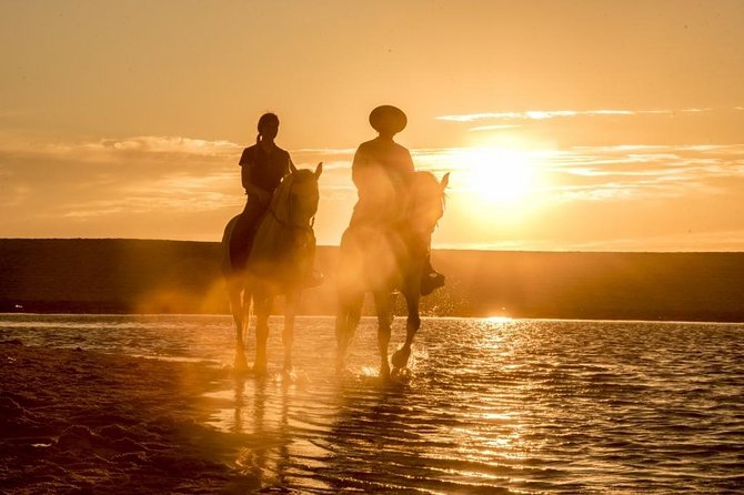 Private Alentejo Tour With Lunch and Horseback Ride Along Melides Beach - Frequently Asked Questions