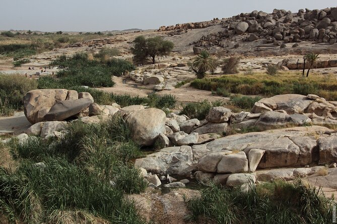 Private Assekrem and Hoggar Tour From Tamanrasset - Customer Reviews