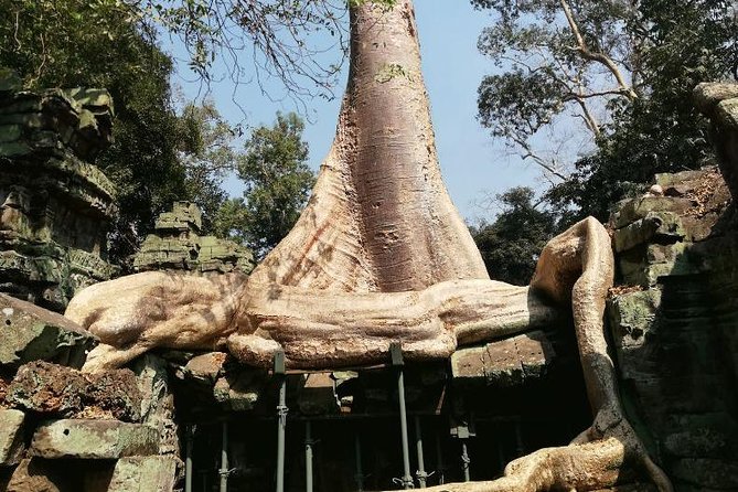 Private Bike Tour to Angkor Complex - Pickup Information