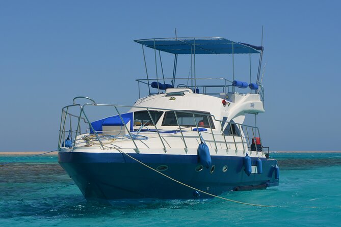 Private Boat Snorkeling Sea Trip With Sea Food Lunch and Transfer - Hurghada - Guest Reviews and Ratings