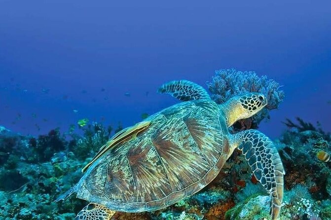 Private Boat Tour at Gili Nanggu, Secret Islands - Booking Assurance