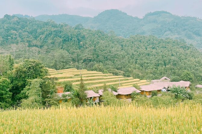 Private Car 2 Days 1 Night Hoang Su Phi in Hagiang - Accommodation Information