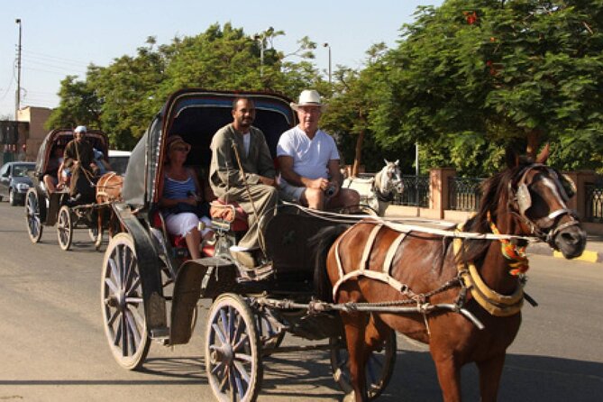 Private City Tour One Hour by Horse Carriage & 1 Hour River Nile Boat Tour-Luxor - Tour Inclusions