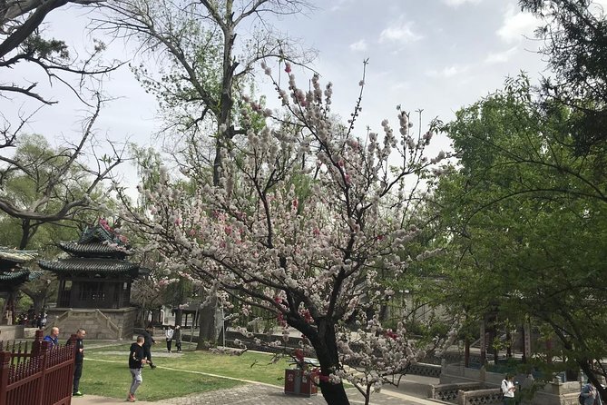 Private Day Tour in Taiyuan: Jinci, Mengshan Buddha, Tianlong Mount - Pricing Information