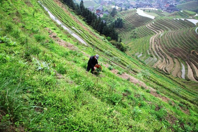 Private Day Tour to Longji Rice Terraces From Guilin - Booking Information