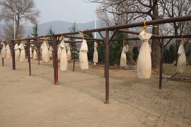 Private Day Tour to Shaolin Temple With Kungfu Class From Zhengzhou - Pricing Details