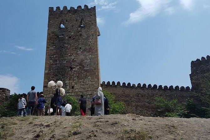 Private Day Trip From Tbilisi -Jvari,Ananuri,Zhinvali,Gudauri,Kazbegi -Gergeti - Transportation Details