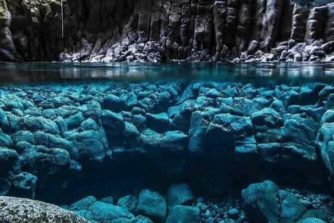 Private Dolphin Tour; Kuza Cave; Paje Beach; The Rock Restaurant; Jozani Forest - Reviews Summary