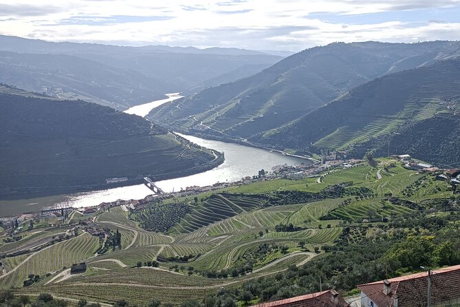 Private Douro Wine Tour - The Sum Up