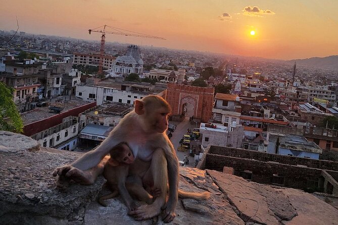 Private Full-Day Jaipur City Sightseeing Tour With Sunset View - The Sum Up