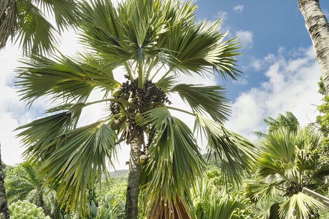 Private Full Day Mahe Island Tour 8-10 Persons - Frequently Asked Questions