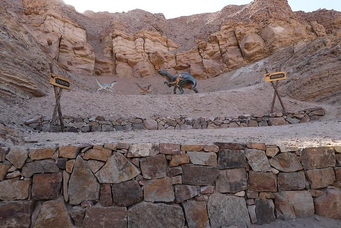 Private Full Day: Majes, Toro Muerto and Dinosaur Footprints. From Arequipa - Confirmation & Start Time