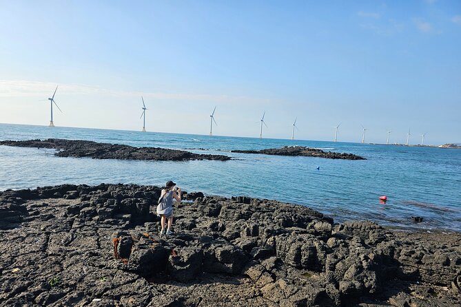 Private Full-Day Package Tour - West & South of Jeju Island - The Sum Up