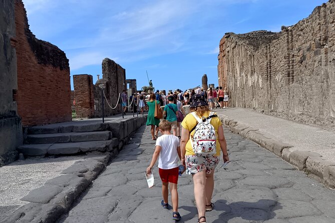 Private Full-Day Pompeii and Vesuvius Volcano Tour for Families - Tour Inclusions