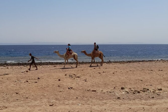 Private Full Day Snorkeling, Camel Ride Tour In Dahab From Sharm El Sheikh - Confirmation and Accessibility