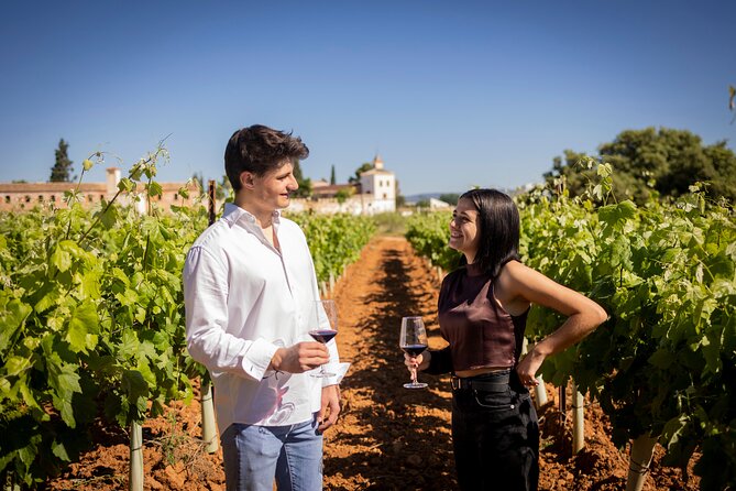 Private Full-Day Tour of the Wine Route in Requena