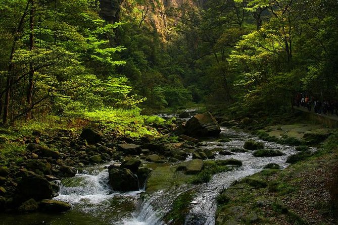 Private Full Day Tour to Avatar Mountain From Zhangjiajie - Additional Information