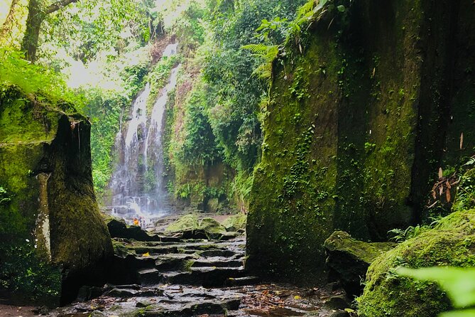 Private Full Day Ubud Experience - What To Expect