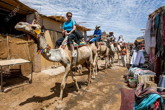 Private Guided Day Tour to Aswan and Nubian Village From Luxor by Car - Special Offer