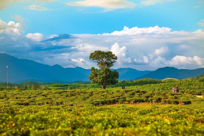 Private Guided Tour: a Spring Day in Dong Giang From Da Nang - Inclusions and Exclusions